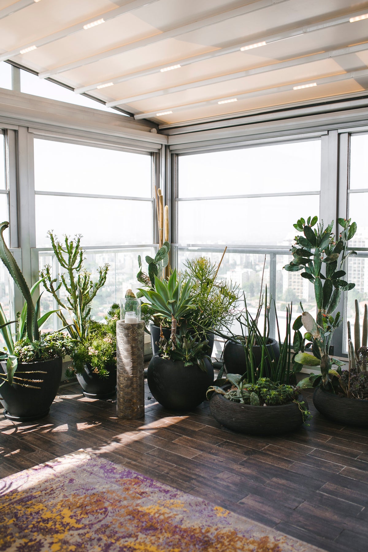 Urban Cocktail Garden