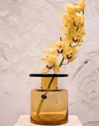 The Cymbidium